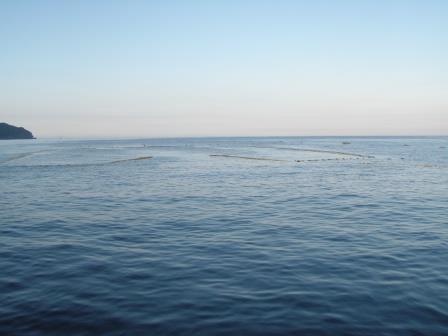 定置網漁8/8-2 定置網漁8/8-2