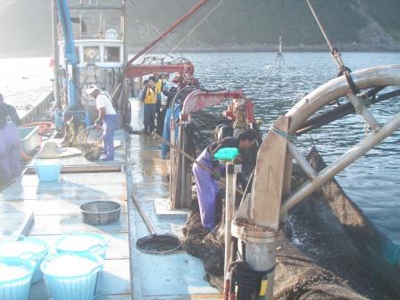 定置網漁8/8-6 定置網漁8/8-6