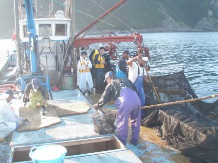 定置網漁8/8-9 定置網漁8/8-9