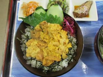 うに丼 うに丼