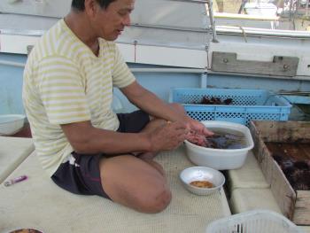 うに製造 うに製造