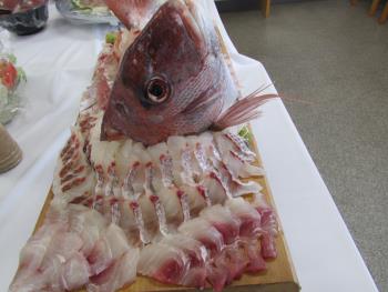 刺身食べ放題 刺身食べ放題