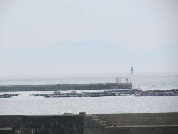 海 海
