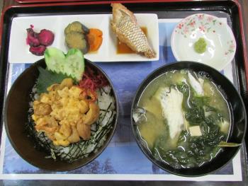 ウニ丼 ウニ丼