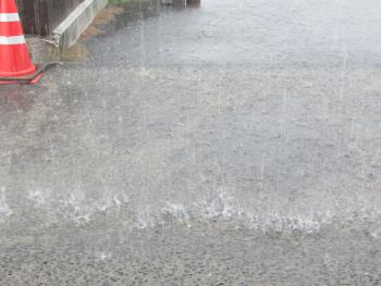 雨 雨
