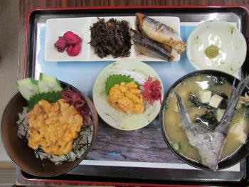 ウニ丼 ウニ丼