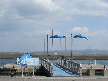 イルカ桟橋 イルカ桟橋