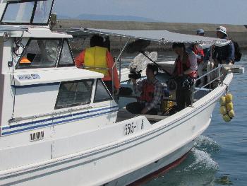 イルカウォッチング イルカウォッチング