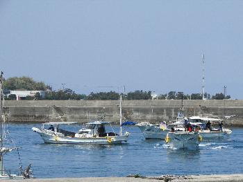 ワカメとり ワカメとり