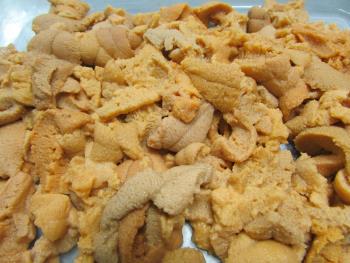 宝多ウニ 宝多ウニ