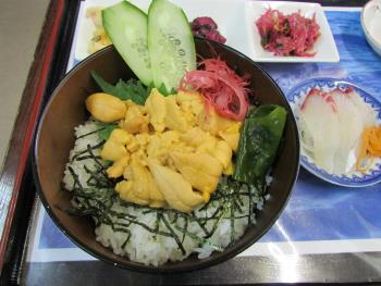 ウニ丼