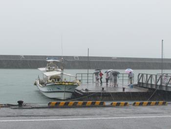 雨