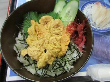 ウニ丼