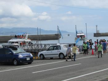 イルカウオッチング イルカウオッチング