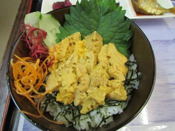 ウニ丼 ウニ丼