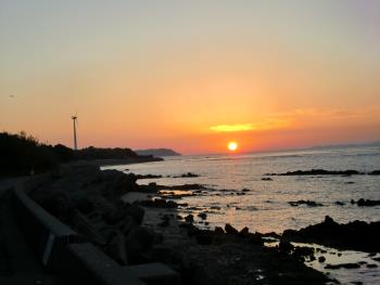 夕日 夕日