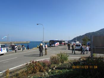 イルカウォッチング イルカウォッチング