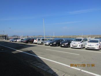 イルカウォッチング イルカウォッチング