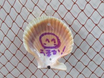 写真 写真