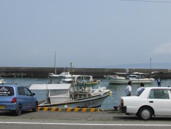 イルカウォッチング船 イルカウォッチング船