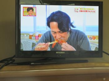 テレビ テレビ