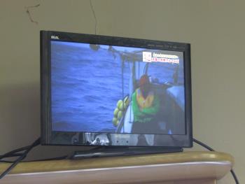 テレビ テレビ
