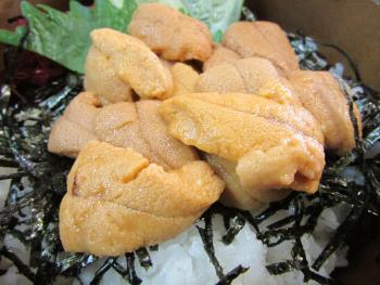 ホタウニ丼 ホタウニ丼