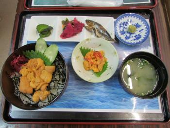 宝多うに丼 宝多うに丼