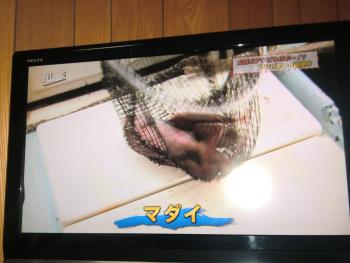 テレビ