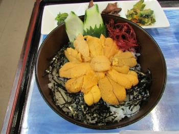 うに丼 うに丼