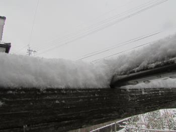 雪