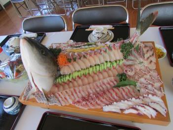 刺身食べ放題 刺身食べ放題