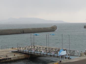 イルカ桟橋 イルカ桟橋