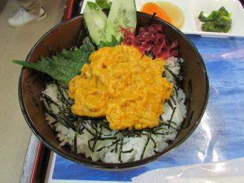 うに丼 うに丼