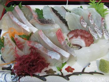 刺身定食 刺身定食