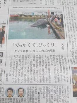 新聞 新聞