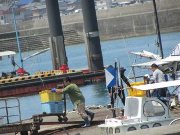 メカブ漁 メカブ漁