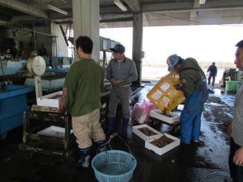 出荷風景 出荷風景