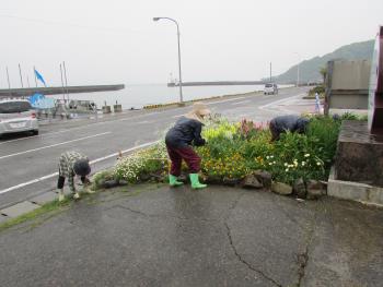 ボランティア ボランティア