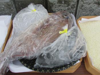 魚 魚