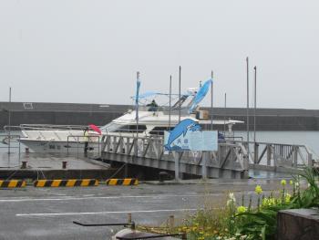 雨 雨