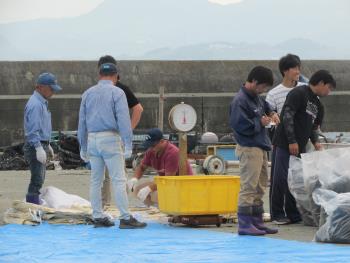 ひじきかけ ひじきかけ