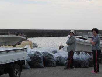 ヒジキかけ ヒジキかけ