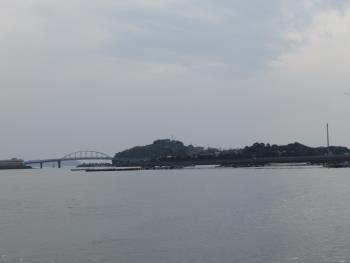 イルカウォッチング イルカウォッチング