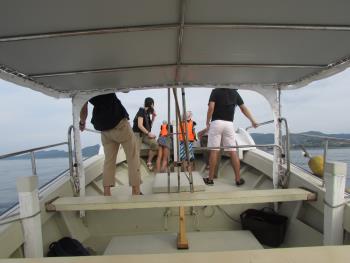 イルカウォッチング イルカウォッチング