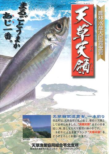 天領アジ 天領アジ