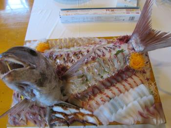 刺身食べ放題 刺身食べ放題