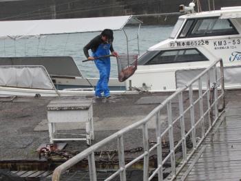 水揚げ 水揚げ
