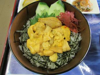 うに丼 うに丼