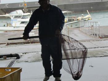 漁師さん 漁師さん